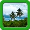 Jungle Live Wallpapers 1.5