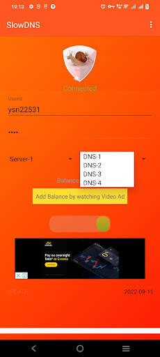 VPN Over DNS  Tunnel : SlowDNS screenshot 4