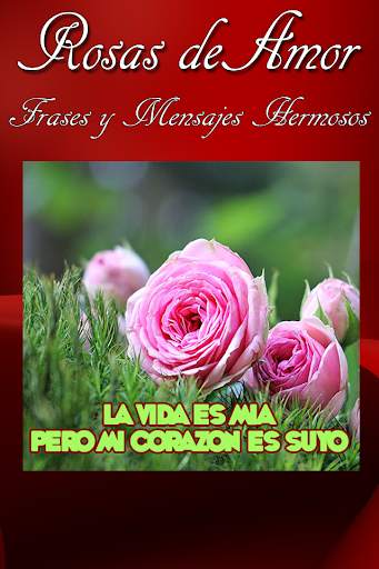 Rosas de Amor screenshot 2