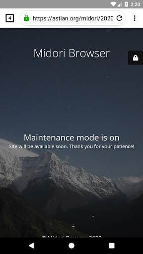 Midori Browser: Light, Fast & Safe screenshot 2