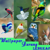 ikon Wallpaper Burung Indah