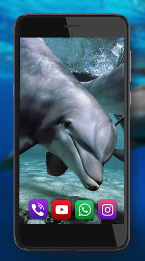 Dolphin Voice screenshot 6