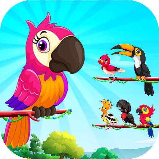 Bird Sort Color: Budgie Puzzle 1.4
