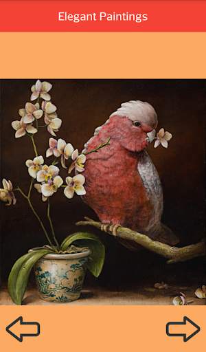 Elegant Paintings screenshot 5