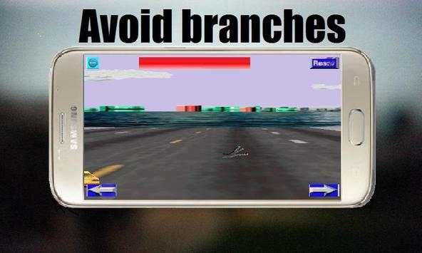 Finish Line Race Car Lite screenshot 3