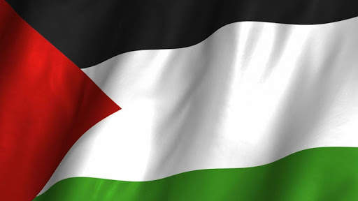 Palestine Flag Wallpaper screenshot 5