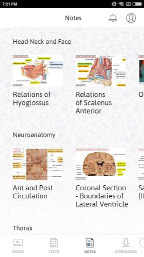 Anatomy by Dr. Ashwani Kumar screenshot 4