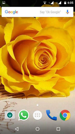 Rose HD Wallpaper screenshot 1