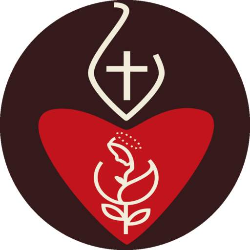 Carisma INSA 20.0