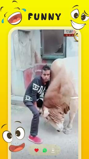 Funny Video - VidFun screenshot 4