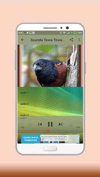 Towa Towa Bird screenshot 4