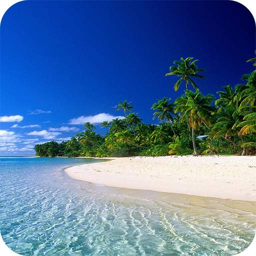 Summer Beach Wallpaper 1.01