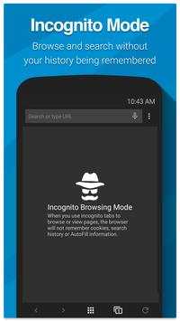 Swipe Browser screenshot 2