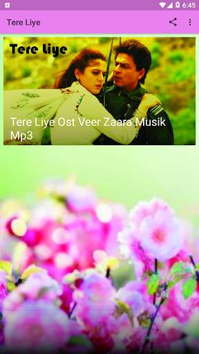 Tere Liye Ost VEER ZAARA Musik Syahduh screenshot 2