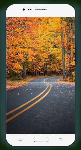 Road Wallpaper HD screenshot 13