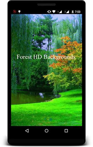Forest HD Backgrounds screenshot 1