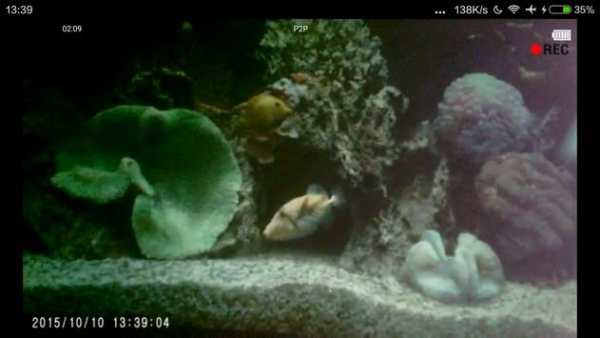 F-DV P2P screenshot 2