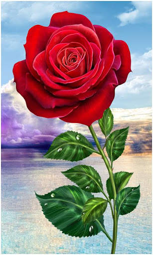 Beautiful All Flowers Photo Pics Free screenshot 2