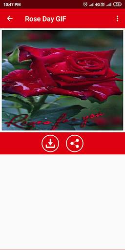 Rose Day GIF screenshot 8