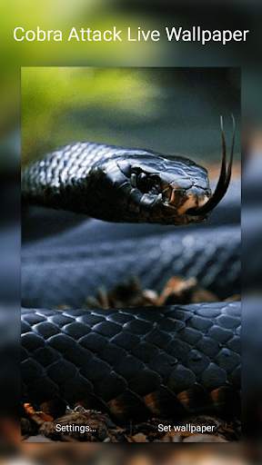 Cobra Attack Live Wallpaper screenshot 4