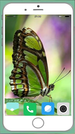 Butterfly Full HD Wallpaper screenshot 6