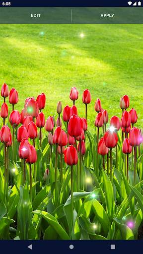 Green Spring Live Wallpaper screenshot 6