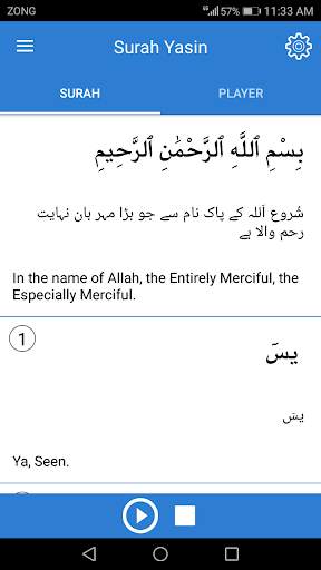 Surah Yasin Mp3 - Surah Yaseen screenshot 2