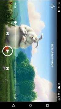 Video Player screenshot 1