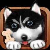 Free Dog VPN on 9Apps