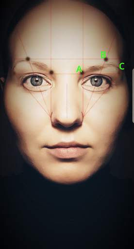 Perfect Eyebrows. Smart Mirror screenshot 3