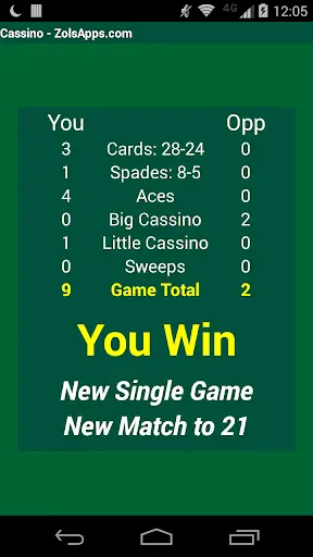 Cassino Card Game screenshot 2