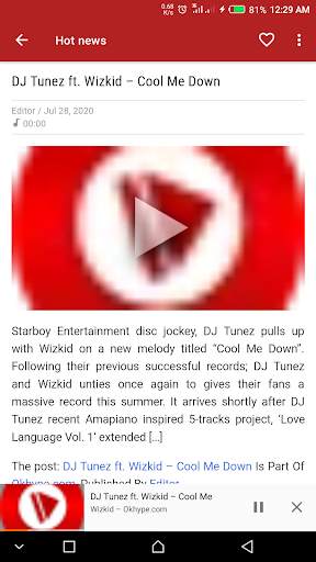 Best of Wizkid screenshot 8