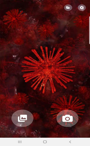 Lite Beauty Camera screenshot 10