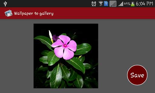 Wallpaper To Gallery screenshot 1