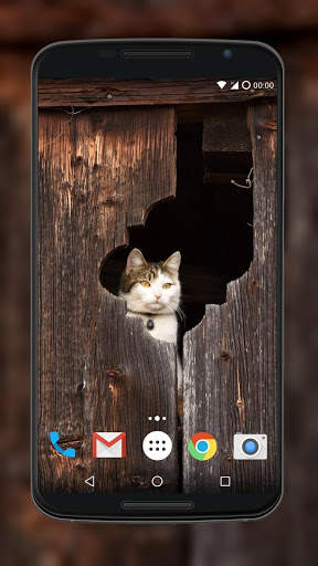 Cute Cat Wallpaper screenshot 6