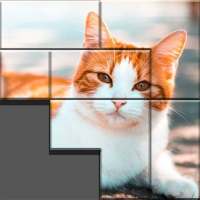 Pieces Pictures icon