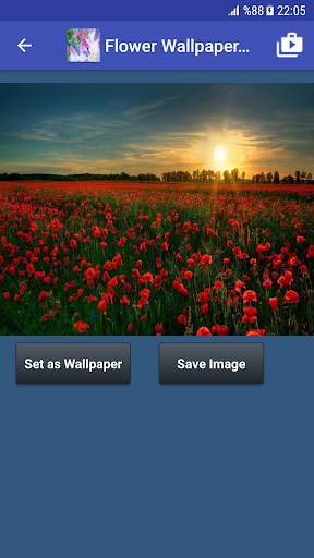 Flower Wallpapers screenshot 8