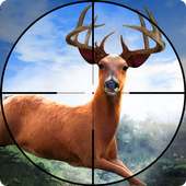 Final Hunter: Wild Animal Hunting🐎