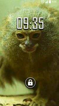 Animals for Kids Live WP screenshot 2
