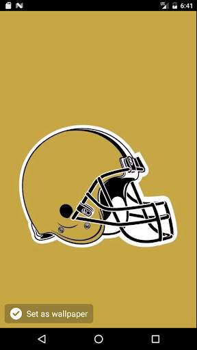 Wallpapers for New Orleans Saints Fans screenshot 1