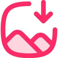 Internet Download Manager IDM icon