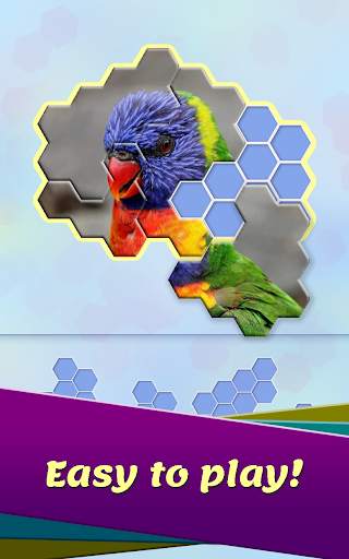 Hexa! Jigsaw - Block hexa puzzle game screenshot 4