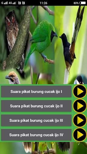 Suara pikat burung liar screenshot 4