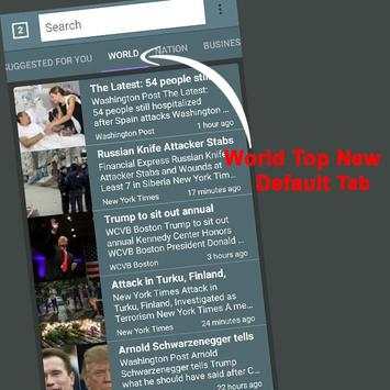 VG Browser screenshot 2