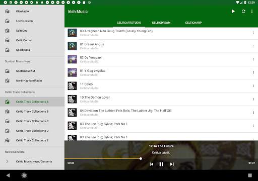Irish Celtic Music Now screenshot 9