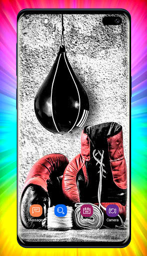 Boxing Wallpapers screenshot 2