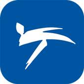 World Taekwondo Federation logo