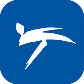 World Taekwondo Federation 1.1