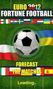 Fortune FootBALL: EURO 2012 screenshot 1