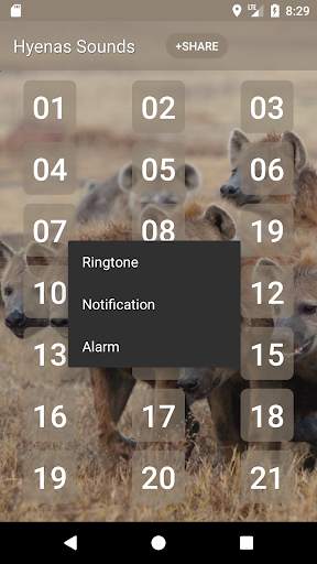 Hyena Sounds screenshot 2